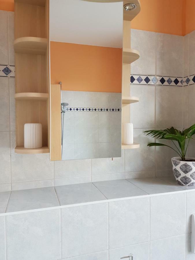 Kleine Gemuetliche Ferienwohnung Дрезден Екстер'єр фото